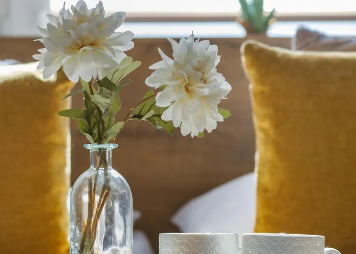 Coast Breeze Stylish By Renters